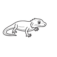 Amphibians are those animals on white background 
Frog, Crocodile, Alligator, Monitor lizard, Salamander, Toad, Newt, Iguana, Snake, Green dragon lizard, Snake