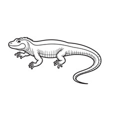 Amphibians are those animals on white background 
Frog, Crocodile, Alligator, Monitor lizard, Salamander, Toad, Newt, Iguana, Snake, Green dragon lizard, Snake