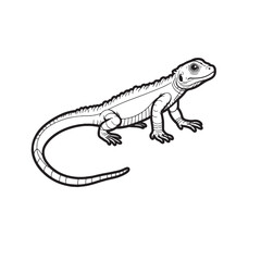 Amphibians are those animals on white background 
Frog, Crocodile, Alligator, Monitor lizard, Salamander, Toad, Newt, Iguana, Snake, Green dragon lizard, Snake
