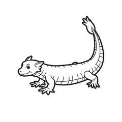 Amphibians are those animals on white background 
Frog, Crocodile, Alligator, Monitor lizard, Salamander, Toad, Newt, Iguana, Snake, Green dragon lizard, Snake