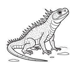 Amphibians are those animals on white background 
Frog, Crocodile, Alligator, Monitor lizard, Salamander, Toad, Newt, Iguana, Snake, Green dragon lizard, Snake