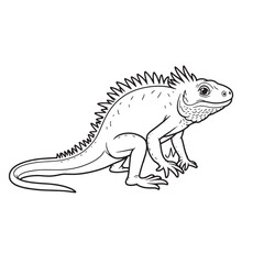 Amphibians are those animals on white background 
Frog, Crocodile, Alligator, Monitor lizard, Salamander, Toad, Newt, Iguana, Snake, Green dragon lizard, Snake