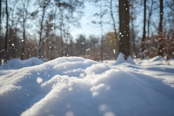 Snowdrift in sunny winter forest.