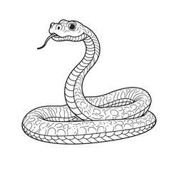 Amphibians are those animals on white background 
Frog, Crocodile, Alligator, Monitor lizard, Salamander, Toad, Newt, Iguana, Snake, Green dragon lizard, Snake