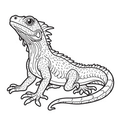 Amphibians are those animals on white background 
Frog, Crocodile, Alligator, Monitor lizard, Salamander, Toad, Newt, Iguana, Snake, Green dragon lizard, Snake