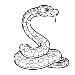 Amphibians are those animals on white background 
Frog, Crocodile, Alligator, Monitor lizard, Salamander, Toad, Newt, Iguana, Snake, Green dragon lizard, Snake