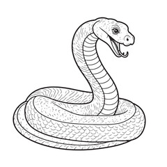 Fototapeta premium Amphibians are those animals on white background Frog, Crocodile, Alligator, Monitor lizard, Salamander, Toad, Newt, Iguana, Snake, Green dragon lizard, Snake