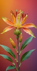 Fototapeta premium A close up of a flower on a stem with leaves.