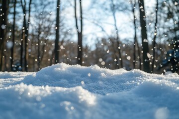 Fototapeta premium Sunlit snowdrift with falling snowflakes in winter forest.