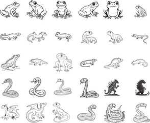 Amphibians are those animals on white backgroun