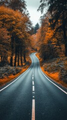 Fototapeta premium Winding Road Through Autumnal Forest Canopy