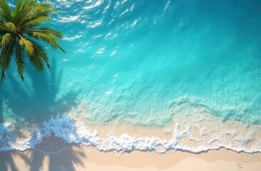 Palm Tree Paradise: A serene aerial view of a lone palm tree casting its shadow over a pristine white sand beach and sparkling turquoise waters. This image evokes a sense of tranquility and escape.