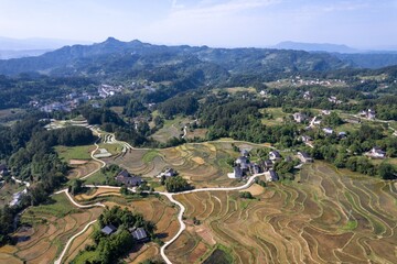 Explore the serene beauty of Chongqing Banan Shitan Rice Terraces amid lush hills and quaint villages