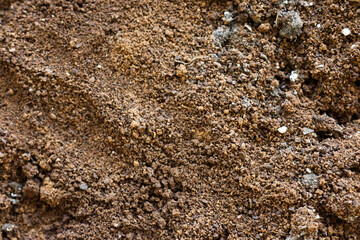 Brown soil in the garden. Close-up. Selective focus. Background. Texture.