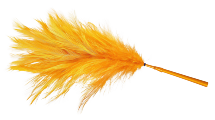 Feather duster transparent background
