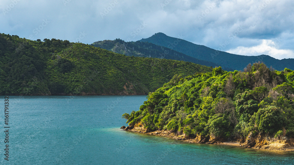 Poster Beautiful scenery cook strait new zealand water ocean hills green lush