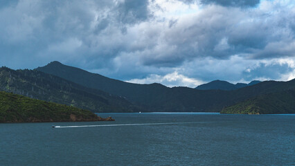 Beautiful scenery cook strait new zealand water ocean hills green lush