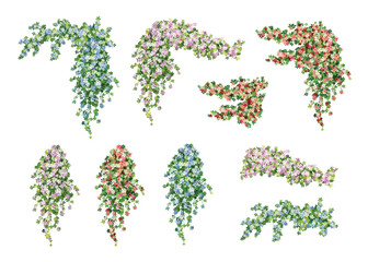 Set of watercolor hanging vines with flowers