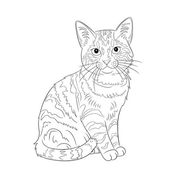 recommend clip art: cat line art coloring page 