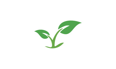 green leaf icon