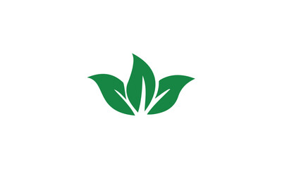green leaf icon