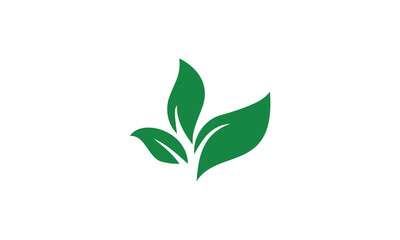 green leaf icon
