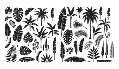 Set of realistic black silhouettes featuring tropical palm trees, branches, separate banana leaves, and talipot, all isolated on a clean white background for versatile design use.