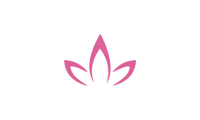 pink lotus flower