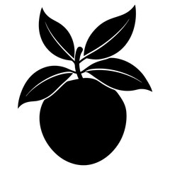 Creative loquat silhouette vector art