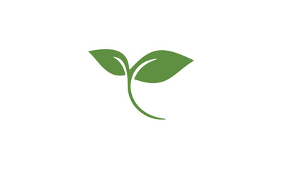 green leaf icon