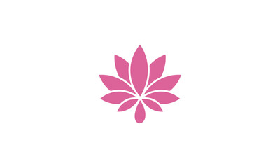 pink lotus flower