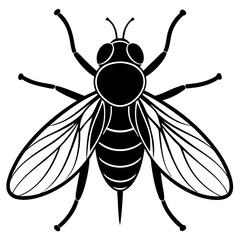 Obraz premium Fly vector