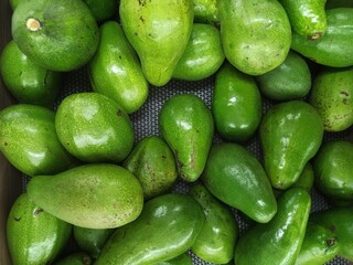 Benefits and Uniqueness of Superfood Avocado Fruit Rich in Nutrients
