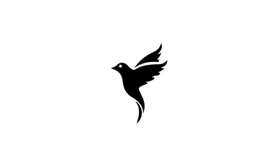 silhouette of a bird