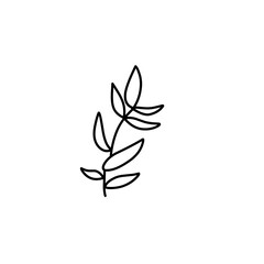 leaf branch outline