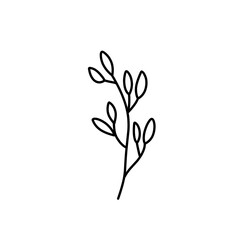 leaf branch outline