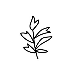 leaf branch outline