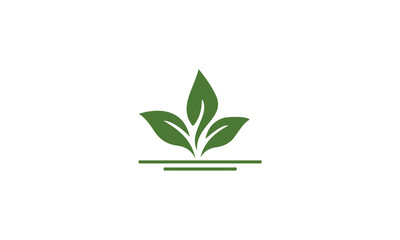 plant on white background