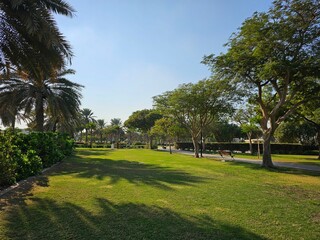 Obraz premium Al Barsha Park in the city dubai, UAE. 