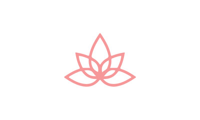 pink lotus flower