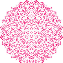 Beautiful flower art and mandala vector design