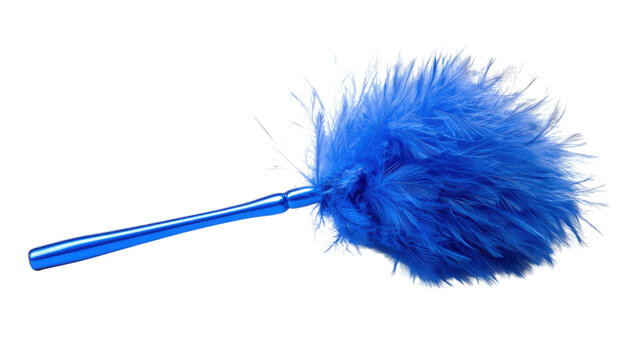 Feather duster transparent background