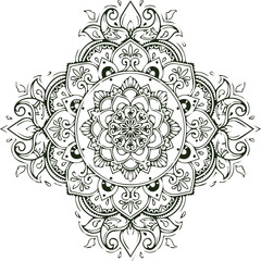 Beautiful flower art and mandala vector design