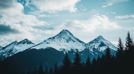 Majestic snow-capped mountain peaks rise above a dark evergreen forest under a partly cloudy sky.