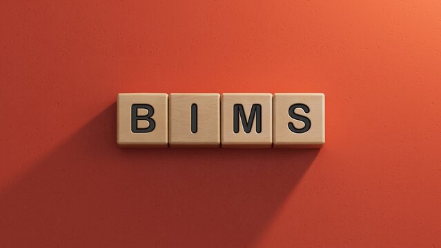 bims word concept. wooden cubes.close up of wooden elements,Business Concept.3D rendering on red background.