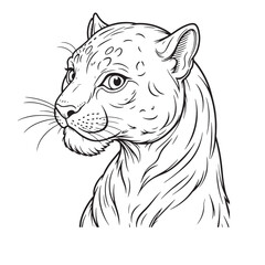 Panther line art vector on white background 