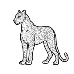  line art vector on white background