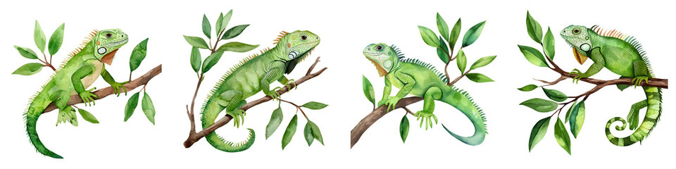 Obraz premium National pet day element, Colorful iguanas on tree branches, showcasing vibrant green hues, isolated on transparent background.