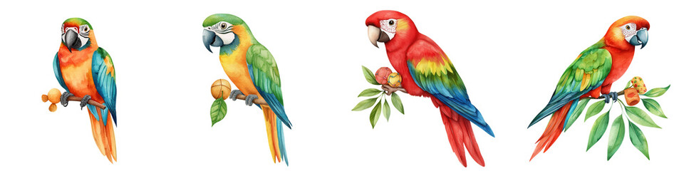 Obraz premium National pet day element, Colorful parrots perched on branches, showcasing vibrant feathers, isolated on transparent background.