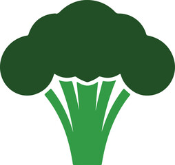 Broccoli vegetable icon Vector on white background.